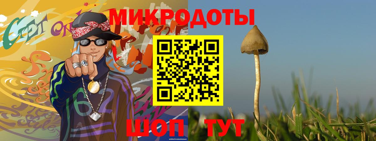 Псилоцибиновые грибы Cubensis Нижнеудинск